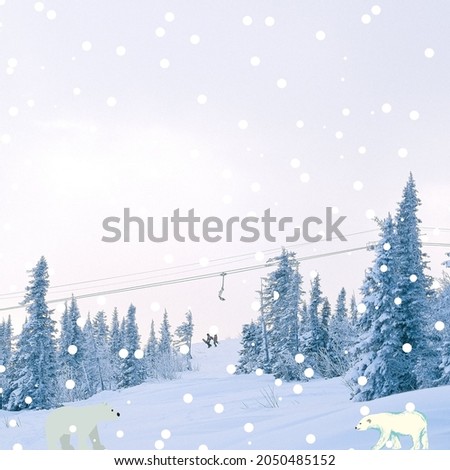 Trees in the frozen and cold snow, snowflakes falling from the sky, bears in the forest in peace and quiet, clean and pure background