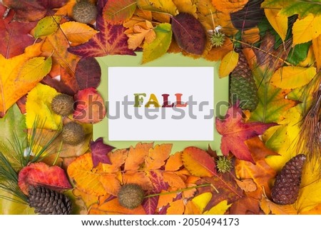 Autumn scene background with colorful leaves , minimal nature seasonal concept