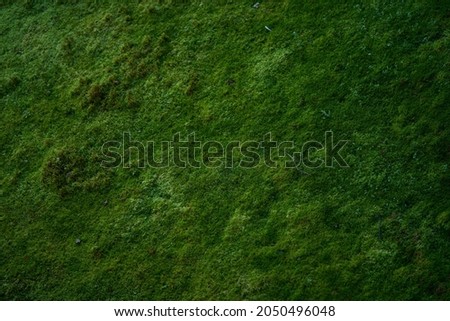 Moss green texture. Moss background. Green moss on grunge texture, background. Long web banner Royalty-Free Stock Photo #2050496048