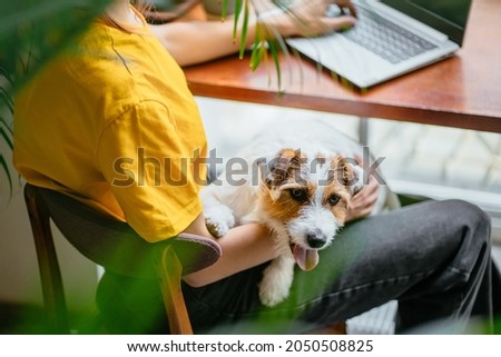 Dog sitting with woman working on digital tablet at home office. Dog and people friendship concept.