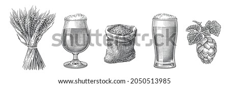 Beer set. Barley malt in burlap bag, sheaf of barley, hops and two beer pints. Hand drawn engraving style illustrations. Royalty-Free Stock Photo #2050513985