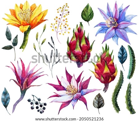 Beautiful set with watercolor hand drawn tropical flowers. Stock clip art illustration.
