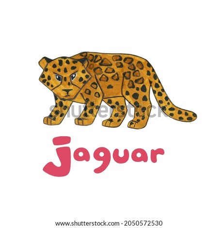 Letter J. Jaguar. English Alphabet Letters with Cute Animals for Children. Series A-Z. ABC for teaching reading, on white background.