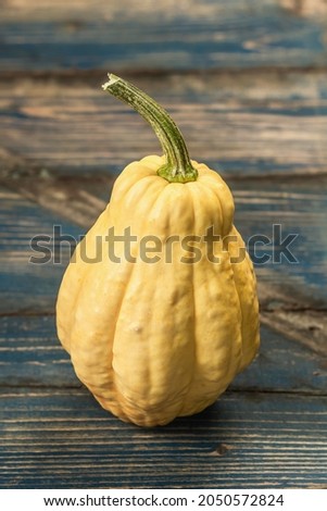 Ripe single yellow pumpkin on wooden background. Whole squash, traditional festive decorative element for Halloween or Thanksgiving