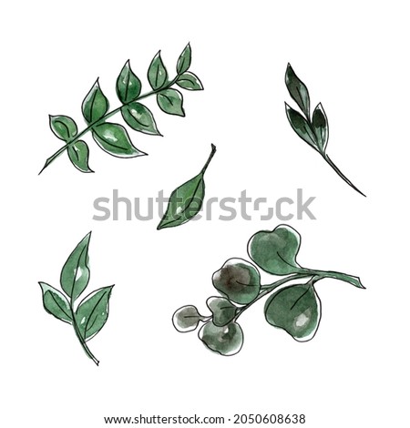 Set green branches. Watercolor and line art Hand painted floral illustration. Isolated on white background. Element design for greeting card, invitation, logo, wedding design.