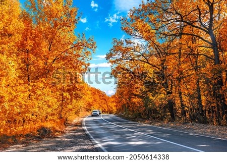 autumn asphalt road landscape and car in motion on beautiful cloudy day. Travel auto trip autumn rain road in forest under dramatic cloudy sky. fall color Royalty-Free Stock Photo #2050614338