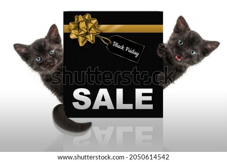 Black cat, black friday sale concept. Seasonal shopping sales and discounts. Ready-made design for banner, postcard, holiday poster, advertising.
