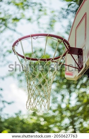 close-up of a basket for basketball game set on the tree