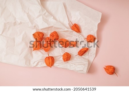 Autumn sunlit pink and white background with physalis, seasonal fruits. Flat lay harvest or halloween concept. Creative layout of colorful vegetables. Copy space. 