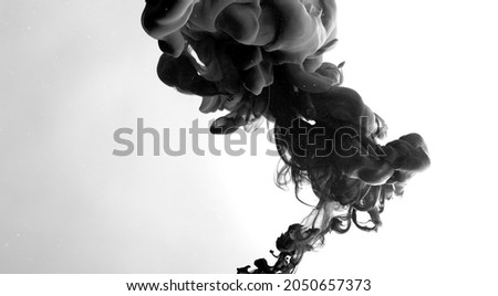 Black watercolor paints in water on a white background. Environmental pollution concept. Black cloud of ink on a white background. Beautiful abstract background. Chic wallpaper for your desktop.