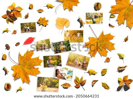 conceptual collage of pictures on the bright autumn theme