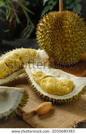 Durian fruit on a wooden table on a burlap cloth with trees in the background Royalty-Free Stock Photo #2050680383