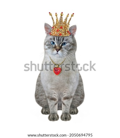 A ash cat wears a crown and a pendant. White background. Isolated.