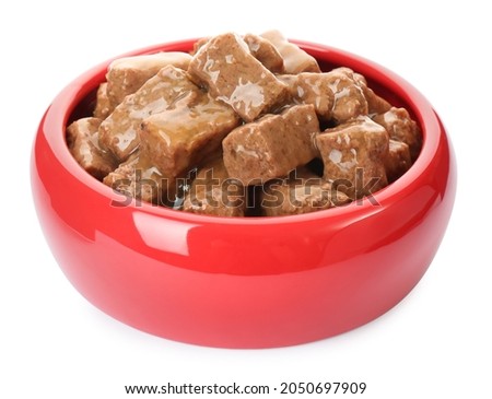 Wet pet food in feeding bowl isolated on white Royalty-Free Stock Photo #2050697909