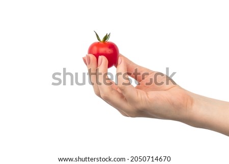 Cherry tomatoes in woman hand isolated on a white background 