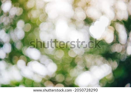 Green bokeh out of focus background from nature forest,defocus art abstract blur background
