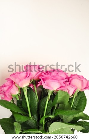Bouquet of pink roses on white background copy space