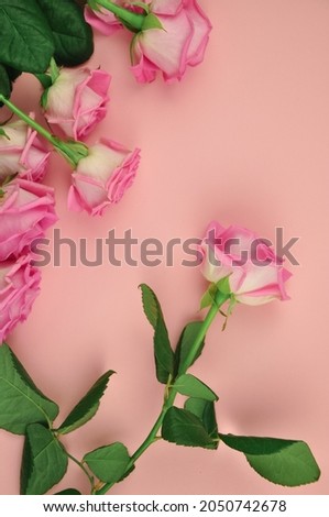 Bouquet of roses on pink background copy space 