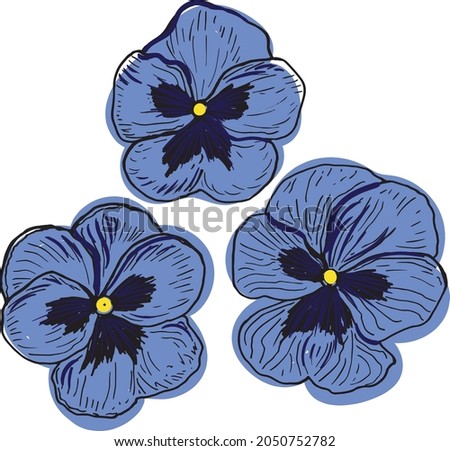 Pansies Flower in a vector style isolated. Color sketch. Pansy Botanical Illustration