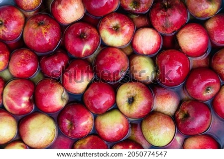 Red apples from own garden in water close up. Nature organic eco food background