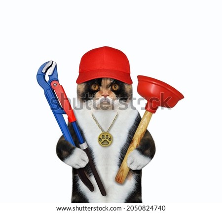 A colored cat plumber in a red cap holds a sink  and a adjustable pipe wrench. White background. Isolated.