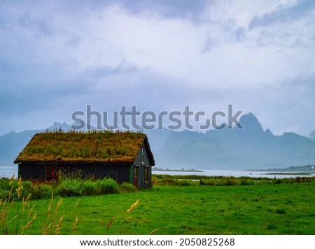House with grass on the roof. A traditional house in Norway.