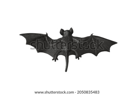 Black toy rubber bat, halloween template, isolated on white background