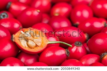 Rose hip half with core hairy seeds in sweet pulp on red fruits texture. Rosa canina. Close-up of rosehip cross-section in ripe brier berries heap on blur background. Health prevention and protection. Royalty-Free Stock Photo #2050849340