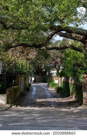 Longitude Lane located in Charleston, South Carolina is an alley that offers a glimpse into some of the hidden backyards and courtyards of Charleston’s oldest homes Royalty-Free Stock Photo #2050888865