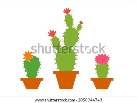 Set of cactuses isolated on white background, set of green cactuses with pink and orange flowers, set of cactus flowers, cute succulents silhouettes