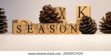 Season was created from wooden cubes. pine cone concept. concept. White background and close-up.