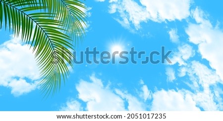 Green palm leaves. Sunny beautiful clear blue sky background. Bottom up view sky. Picture for stretch ceiling decoration.