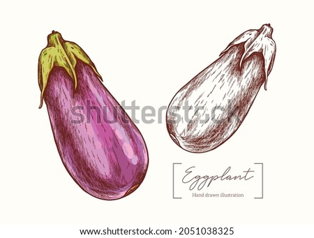 Vector hand drawn Eggplant  illustration in vintage engraving style. Botanical Illustration. Eco food. Delicacy healthy vegetable Royalty-Free Stock Photo #2051038325