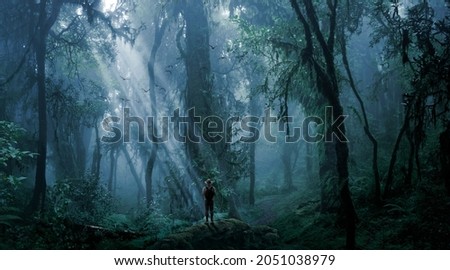 Explorer observing a jungle landscape Royalty-Free Stock Photo #2051038979