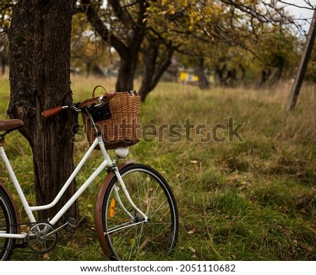 vintage bike with a wicker basket in the autumn apple garden