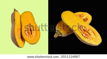 Orange long pumpkins, Butternut squash, butternut pumpkin isolated with clipping path, no shadow in white background