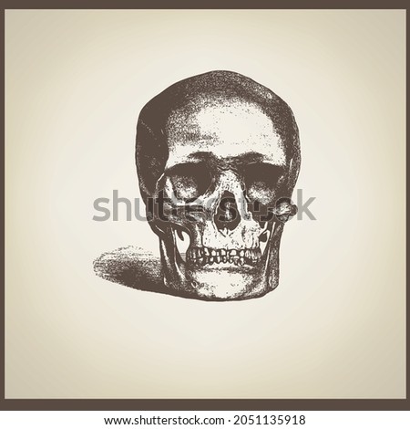 Skull vintage engraved illustration, Etching Skeleton of human head.