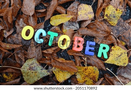 The inscription "october" in plastic letters on a background of fallen leaves