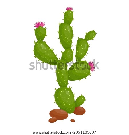 Prickly Pear Cactus Pink Flower Plant Succulent Family Cartoon Vector Graphic Royalty-Free Stock Photo #2051183807