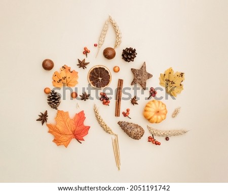 Autumn leaf silhouette made of pine cone, cinnamon stick, wooden star, pumpkin, dried orange, wheat, and anis. Flat lay idea on beige background. Nature fall concept.