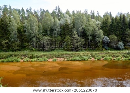 A silent forest on the bank of a river with transparent water. Selective focus. High quality photo Royalty-Free Stock Photo #2051223878