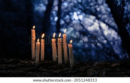 magic burning candles in night forest, dark natural background. mysterious fairy scene. witchcraft,  Spiritual esoteric ritual. Samhain, Halloween holiday concept Royalty-Free Stock Photo #2051248313
