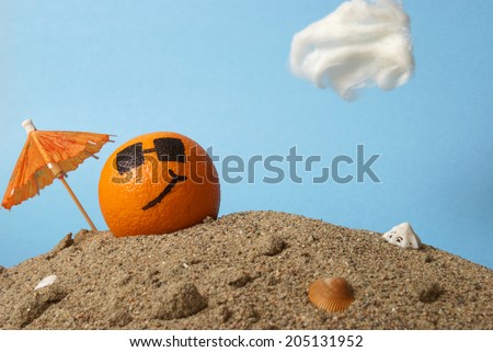 A cool orange chills at the beach in the Florida sunshine.
