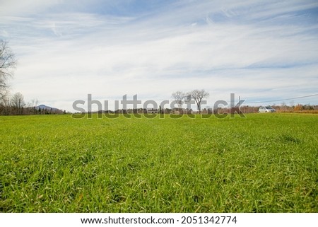 A beautiful green field under a cloudy blue sky during daytime
