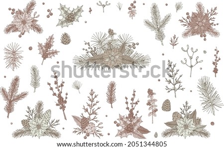 Set of Christmas floral elements and compositions. Festive decor elements. Vector illustration in sketch style