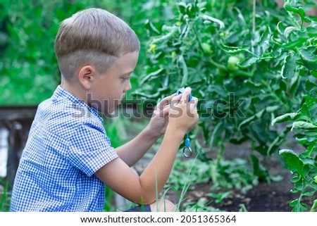 A cute preschooler boy with a neat haircut in a blue shirt takes pictures of green plants in a greenhouse on a hot summer day. Selective focus. Portrait