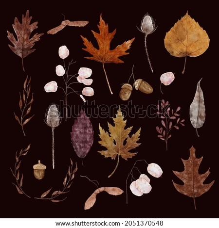 Watercolor autumn leaves collection. Set of fall leaves in pastel colors. Oak, maple, birch and willow leaves, acorn, maple seeds, lunaria, thistle. Detailed illustration isolated on dark background.