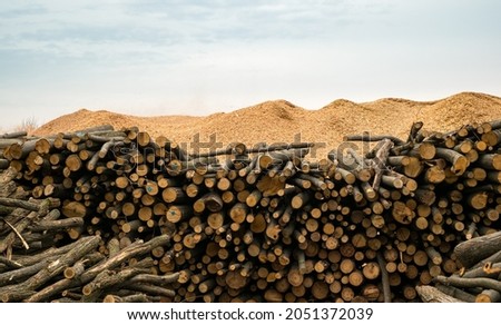 Raw wood logs in a lumber staging and storage yard