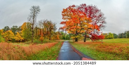 Panoramic view over city park Rotehorn and walking path in Autumn golden colors at cloudy rainy day, Magdeburg, Germany