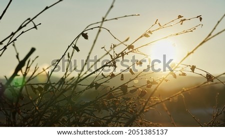 Beautiful scenery of sunrise in the garden at Russia,  Europe during winter time. 